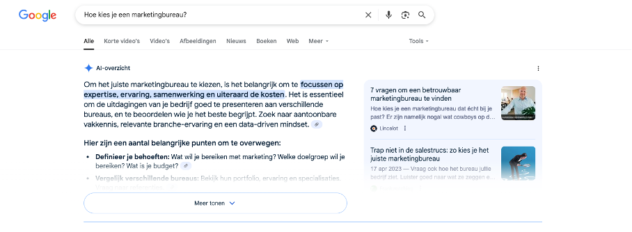 AI Overviews voorbeeld